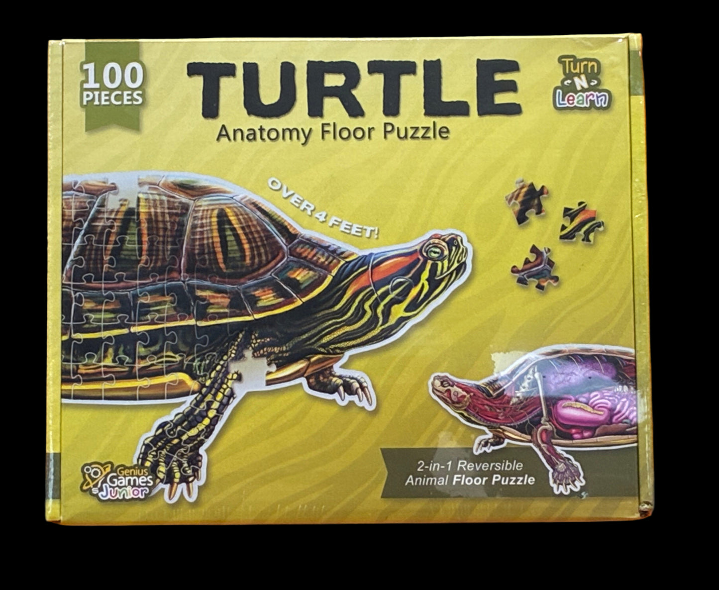 Turtle anatomy floor puzzle packaging on an orange background