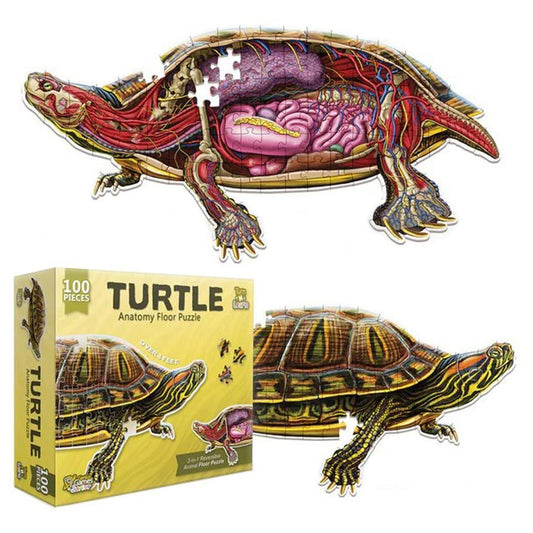 Turtle anatomy floor puzzle with packaging on a white background